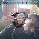 ������ �� ������� ���� ����������