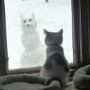 ���� ����, ������� - ��������� 19 ������� 2014