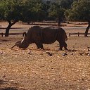 ���� ��������� - ����� ����� �����. � ��� ��� ����!!? �� ������� ���� ����������