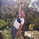 ���� Yuksel, �������, 41 ��� - ��������� 15 ������ 2013 � ������ ���� ����������