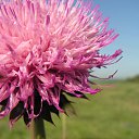 ���� ������, ������-��-����, 45 ��� - ��������� 13 ����� 2014 � ������ ���� ����������