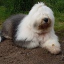 ���� ���������, �����-���������, 78 ��� - ��������� 12 ����� 2014