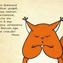 ���� ����, ����������, 41 ��� - ��������� 4 ����� 2014 � ������ ������ ��������