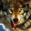 ���� ��, ������, 63 ���� - ��������� 6 ������� 2013 � ������ ���� ����������