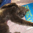 ���� ������, �������������� - ��������� 3 �������� 2013 � ������ ���� ����������