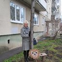 ���� ������, ������������ - ��������� 1 ����� 2014 � ������ ������ ��������