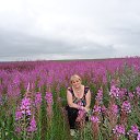 ���� �������, �������, 67 ��� - ��������� 18 ������ 2013 � ������ ���� ����