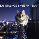 ���� �������, ������������, 41 ��� - ��������� 3 ������� 2014 � ������ ���� ����������