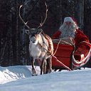���� �������, ������, 75 ��� - ��������� 20 ������� 2013 � ������ ���� ����������