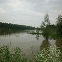 ������� 2013 �� ������� ���� ����������