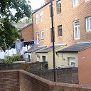 ���� ������, �����-���������, 61 ��� - ��������� 10 ����� 2014 � ������ ���������, ������ 2010�