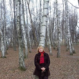 �����, ������, 2013