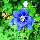 ������ �� ������� ������������� ������