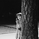 ���� �����, �����-���������, 38 ��� - ��������� 4 ������ 2014 � ������ �� � ��� �����߻