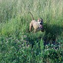 ���� �������, ���������, 50 ��� - ��������� 1 �������� 2013 � ������ ���� ����������