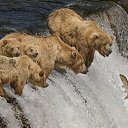  , , 71  -  10  2014     ...