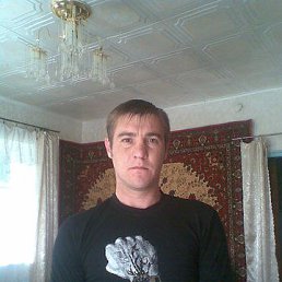 ���������, �������, 41 ���