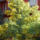 ���� �������, ������ - ��������� 19 ������� 2014 � ������ ��������˻