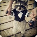 ���� �����, ����� - ��������� 16 ������ 2014 � ������ ���� ����������