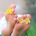   (  ...   ...  !!!), , 65  -  17  2013       2013