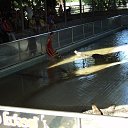 ���� �����, ��������, 52 ���� - ��������� 27 ������� 2013 � ������ ��������