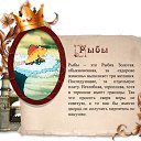 ���� ������, �����, 51 ��� - ��������� 7 ������� 2013