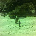 ���� �������, ������, 52 ���� - ��������� 27 ������� 2013 � ������ ���� ����������