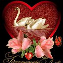 ���� �����, �����-��������� - ��������� 23 ������� 2013 � ������ ���� ����������