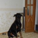 ���� ������, ��������, 42 ���� - ��������� 25 ������ 2013 � ������ ���� ����������