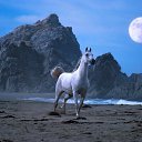 ���� Aleta, ������, 51 ��� - ��������� 31 ������� 2013 � ������ �Mega Race�