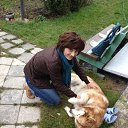 ���� �����, ������, 57 ��� - ��������� 26 ������� 2013 � ������ ���� ����������