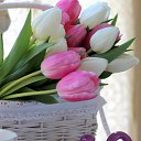 ���� ����, ������, 67 ��� - ��������� 8 ����� 2014 � ������ ������ ��������