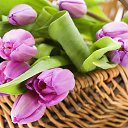 ���� �����, ���� - ��������� 9 ����� 2014 � ������ ���� ����������