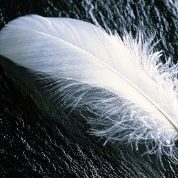 ���� �������, ����-��������� - ��������� 13 ������� 2014