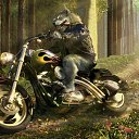 ���� ����� ����, ������, 42 ���� - ��������� 12 ������� 2013 � ������ ���� ����������