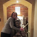 ���� ����, �����������, 41 ��� - ��������� 9 ������ 2013 � ������ ���� ����������