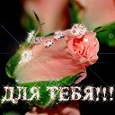 ��� ���� �� ������� ����� ��� ������������