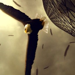 ���� �����, �����-���������, 36 ��� - ��������� 4 ������ 2013