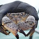 ���� Igor, ���������, 54 ���� - ��������� 12 ������� 2013 � ������ ���������� ����� 2013�