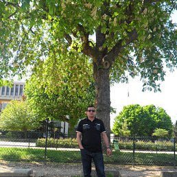 Edo, ��������, 44 ����