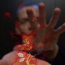 ���� �����, �����-���������, 41 ��� - ��������� 11 ����� 2014 � ������ ���� ����������