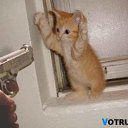 ���� ����, ������, 54 ���� - ��������� 19 ������� 2013 � ������ �������