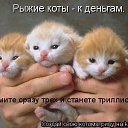 ���� ����, �����, 38 ��� - ��������� 22 ������ 2013 � ������ �RoadKing�