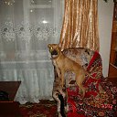 ���� Andrey, ���������, 45 ��� - ��������� 13 ������� 2014