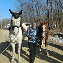 ���� �����:*, ������� ������ - ��������� 20 ������� 2014 � ������ ���� ����������