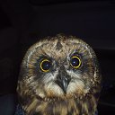 ������� �� ������ �����