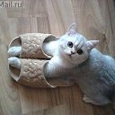 ���� �����, ������, 53 ���� - ��������� 9 �������� 2013 � ������ ������ ��������