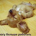 ���� ����, ���������, 85 ��� - ��������� 7 ������� 2014 � ������ ���� ����������