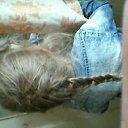 ���� �����, ������������, 62 ���� - ��������� 18 ������� 2014 � ������ ���� ���� ������