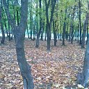 ���� Tarik, ���� - ��������� 11 ����� 2014 � ������ ���� ����������